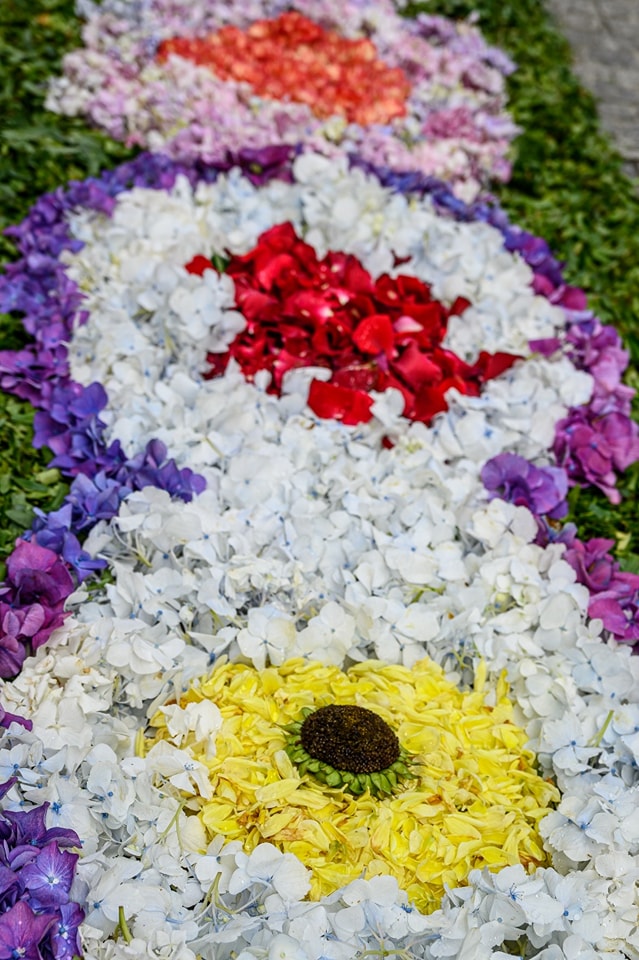 Centenas embelezam ruas de viana do castelo com tapetes de flores 28 Centenas embelezam ruas de viana do castelo com tapetes de flores