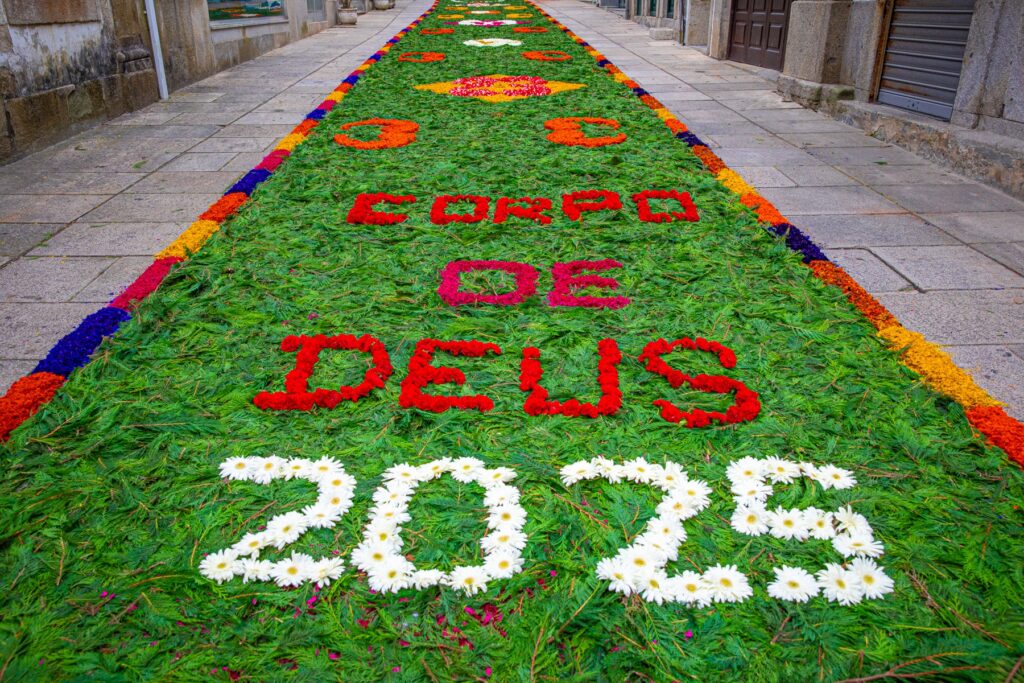 Tapetes floridos do corpo de deus deslumbram em caminha 24 Tapetes floridos do corpo de deus deslumbram em caminha