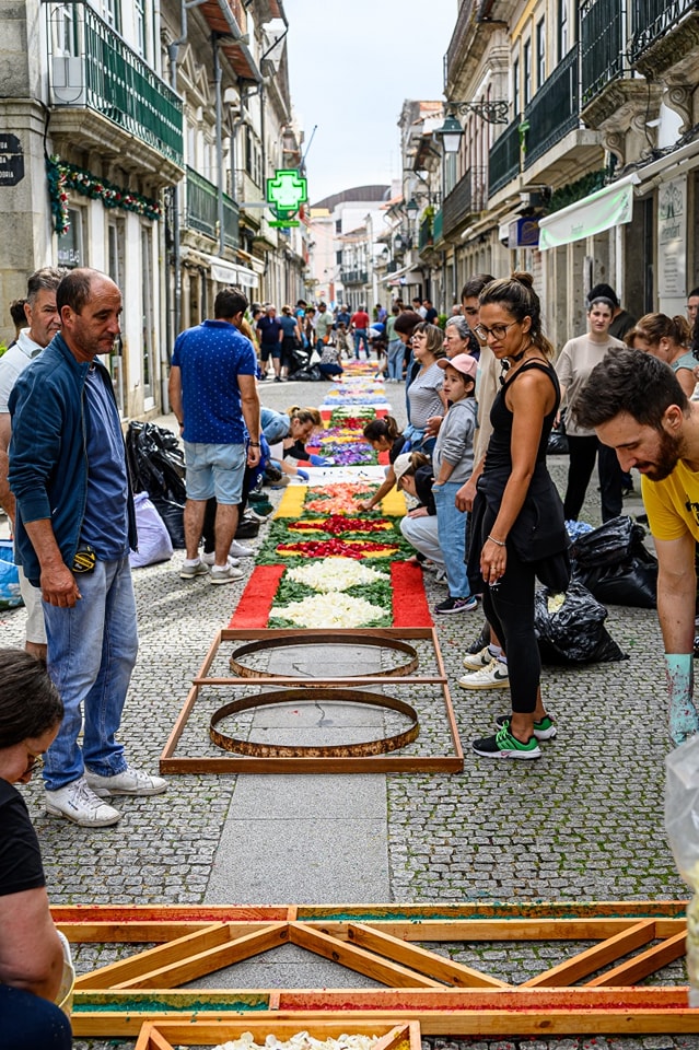 Centenas embelezam ruas de viana do castelo com tapetes de flores 23 Centenas embelezam ruas de viana do castelo com tapetes de flores