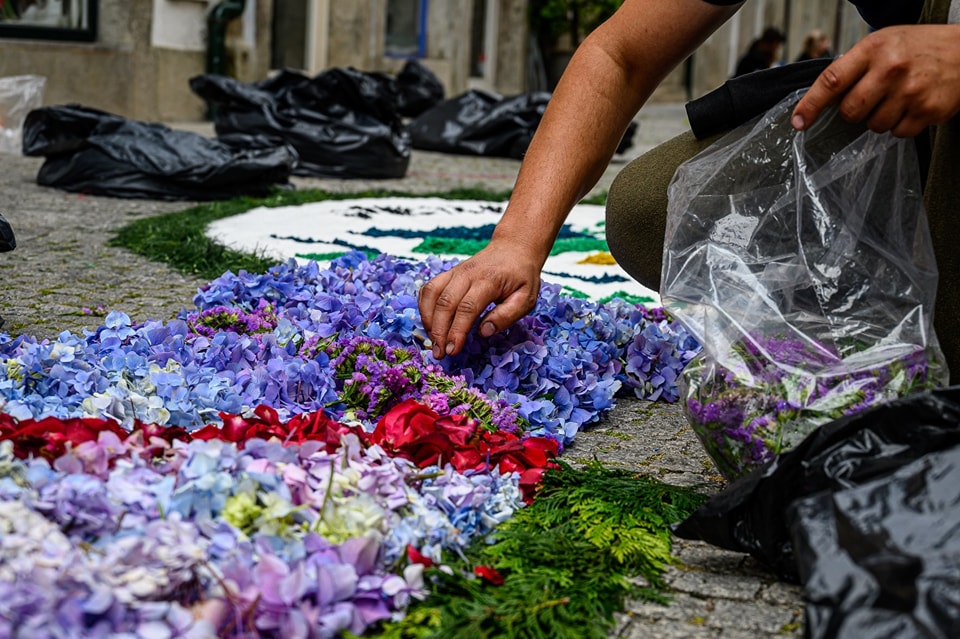 Centenas embelezam ruas de viana do castelo com tapetes de flores 19 Centenas embelezam ruas de viana do castelo com tapetes de flores