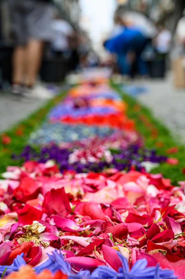 Centenas embelezam ruas de viana do castelo com tapetes de flores 15 Centenas embelezam ruas de viana do castelo com tapetes de flores