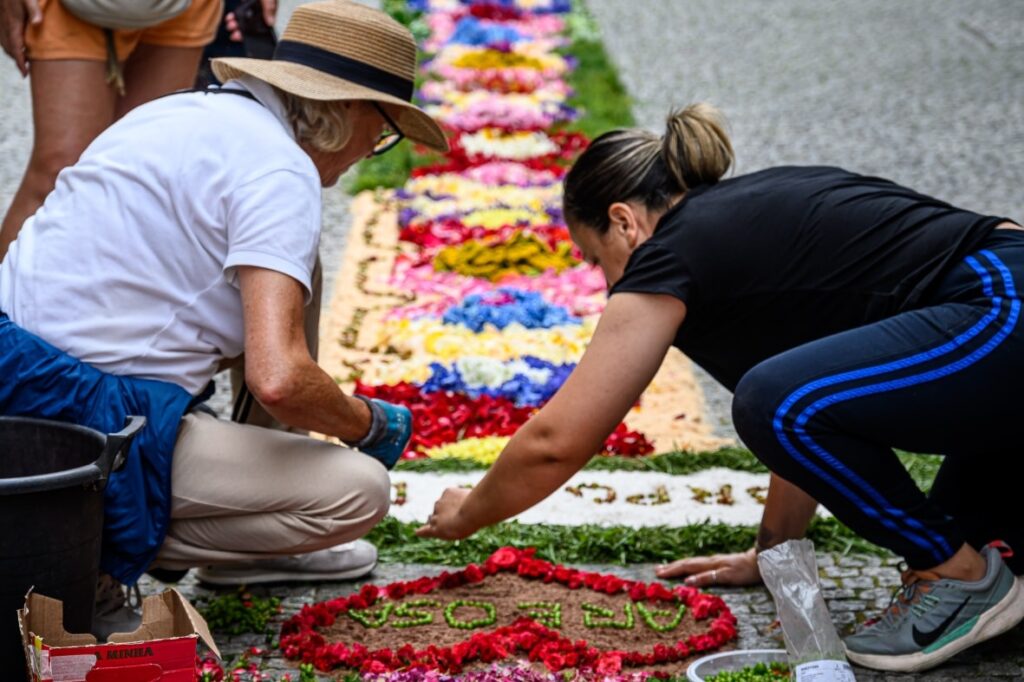 Centenas embelezam ruas de viana do castelo com tapetes de flores 8 Centenas embelezam ruas de viana do castelo com tapetes de flores