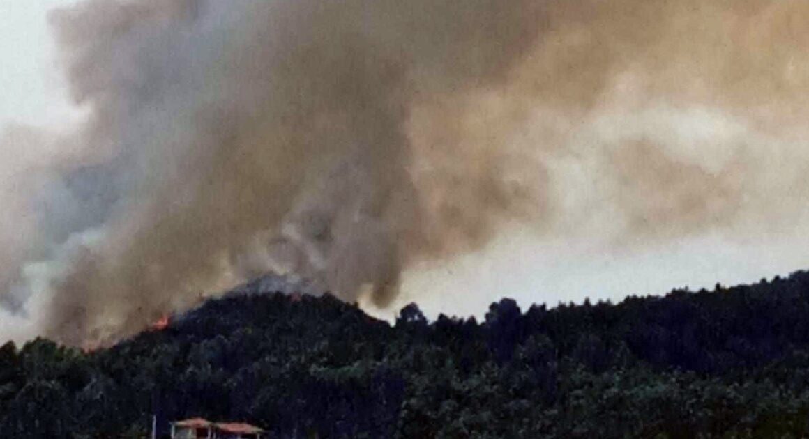 Mais de 50 bombeiros e dois meios aéreos combatem incêndio na póvoa de lanhoso