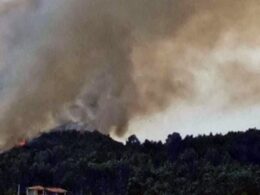Mais de 50 bombeiros e dois meios aéreos combatem incêndio na póvoa de lanhoso