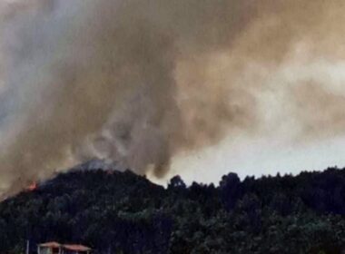 Mais de 50 bombeiros e dois meios aéreos combatem incêndio na póvoa de lanhoso
