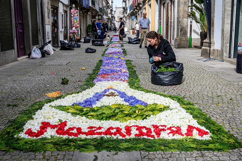 Centenas embelezam ruas de viana do castelo com tapetes de flores 6 Centenas embelezam ruas de viana do castelo com tapetes de flores