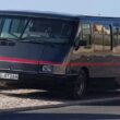Só existem 587 no mundo e esta anda a passear por portugal. Já foi vista em braga