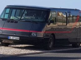 Só existem 587 no mundo e esta anda a passear por portugal. Já foi vista em braga