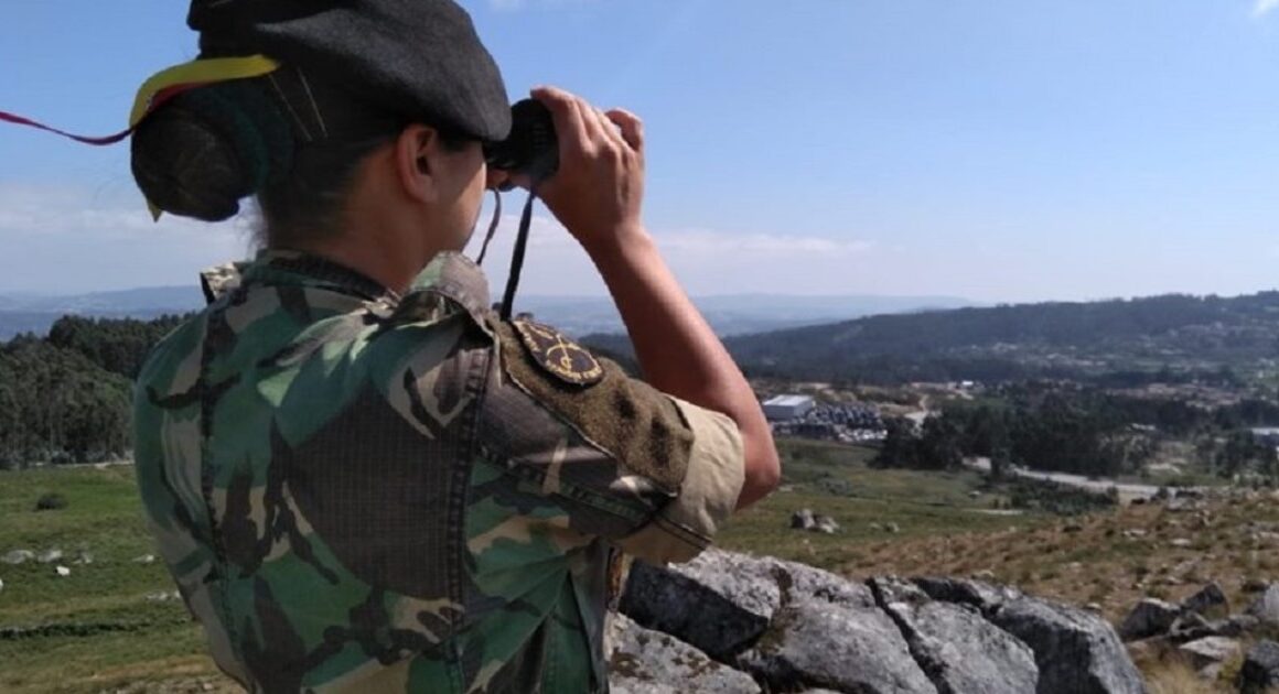 Incêndios: militares voltam a vigiar serra de santa luzia em viana