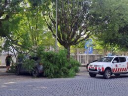 Galho quebra e atinge carro no centro de braga