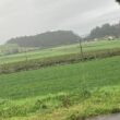 Choveu menos um terço do que o previsto no minho durante o mês de junho