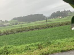 Choveu menos um terço do que o previsto no minho durante o mês de junho
