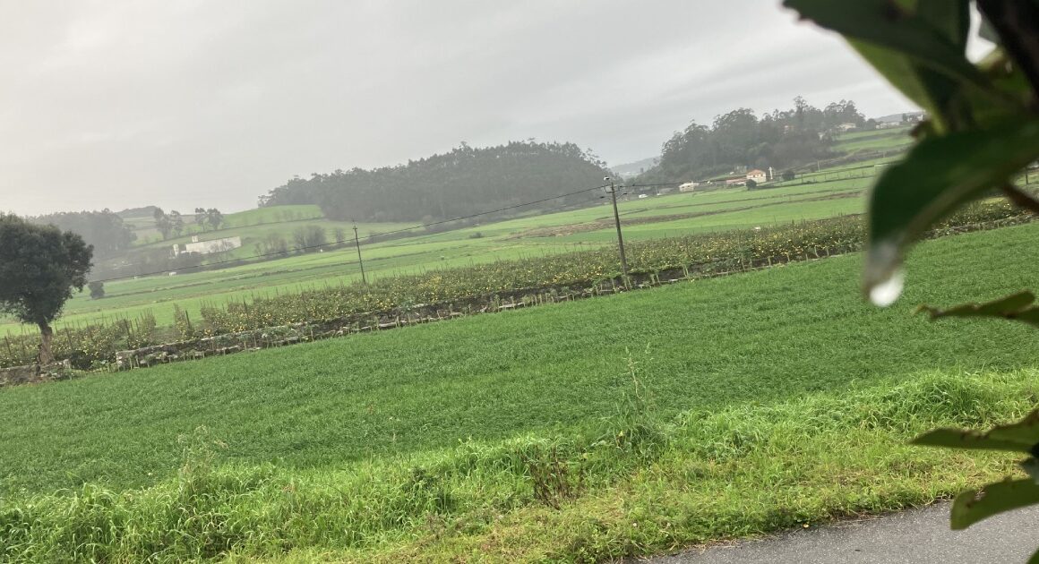 Choveu menos um terço do que o previsto no minho durante o mês de junho