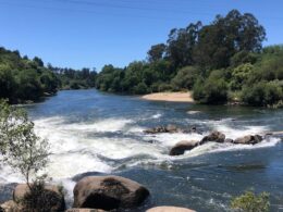 Buscas por "eventual" desaparecido no rio cávado em barcelos