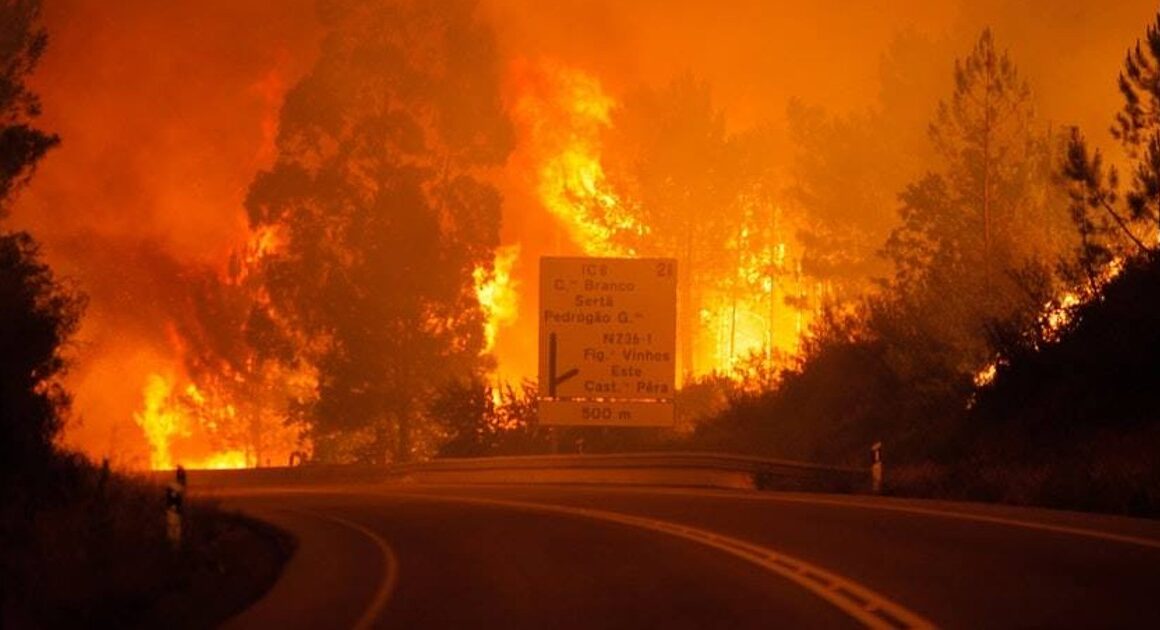 Marcelo lembra vítimas do incêndio de pedrógão grande há 8 anos