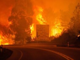 Marcelo lembra vítimas do incêndio de pedrógão grande há 8 anos