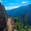 Cão de rebanho morde mulher que caminhava no gerês