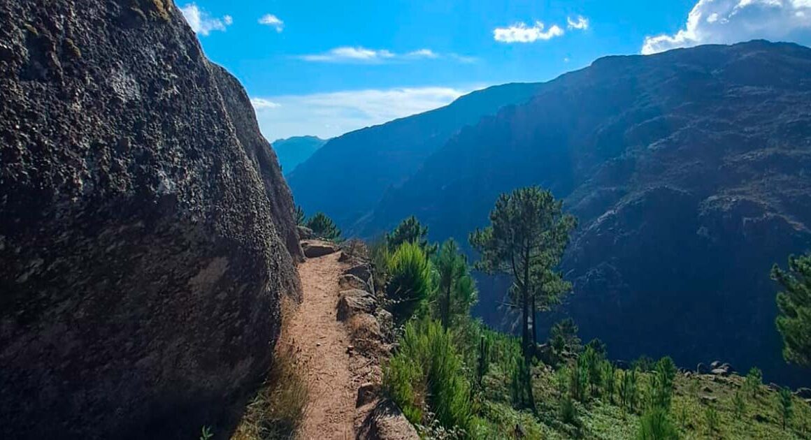 Cão de rebanho morde mulher que caminhava no gerês
