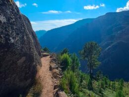 Cão de rebanho morde mulher que caminhava no gerês