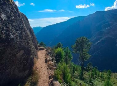 Cão de rebanho morde mulher que caminhava no gerês