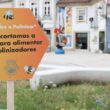 Barcelos deixa crescer vegetação dos jardins para proteger as abelhas