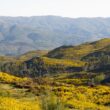Discussão pública: programa de reordenamento e gestão da paisagem das serras da peneda gerês