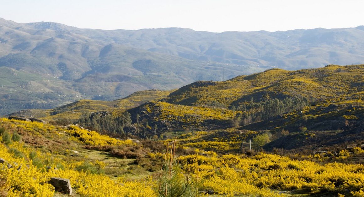 Discussão pública: programa de reordenamento e gestão da paisagem das serras da peneda gerês