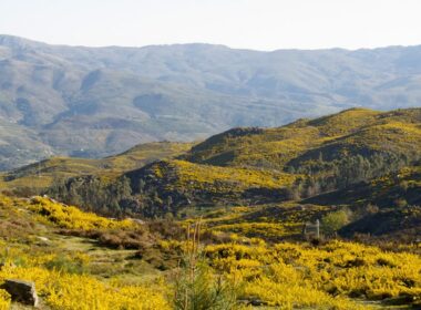Discussão pública: programa de reordenamento e gestão da paisagem das serras da peneda gerês