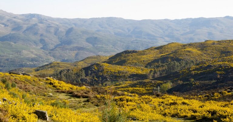 Discussão pública: programa de reordenamento e gestão da paisagem das serras da peneda gerês