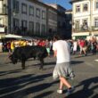 Vai à "vaca das cordas" em ponte de lima? Eis os conselhos da psp