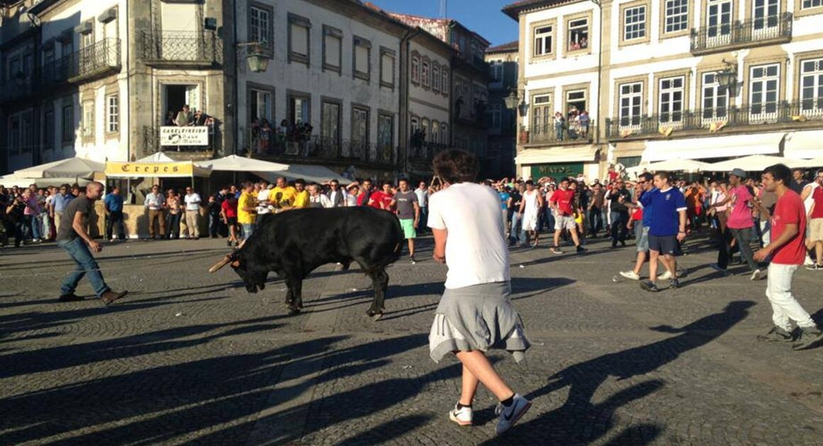 Vai à "vaca das cordas" em ponte de lima? Eis os conselhos da psp