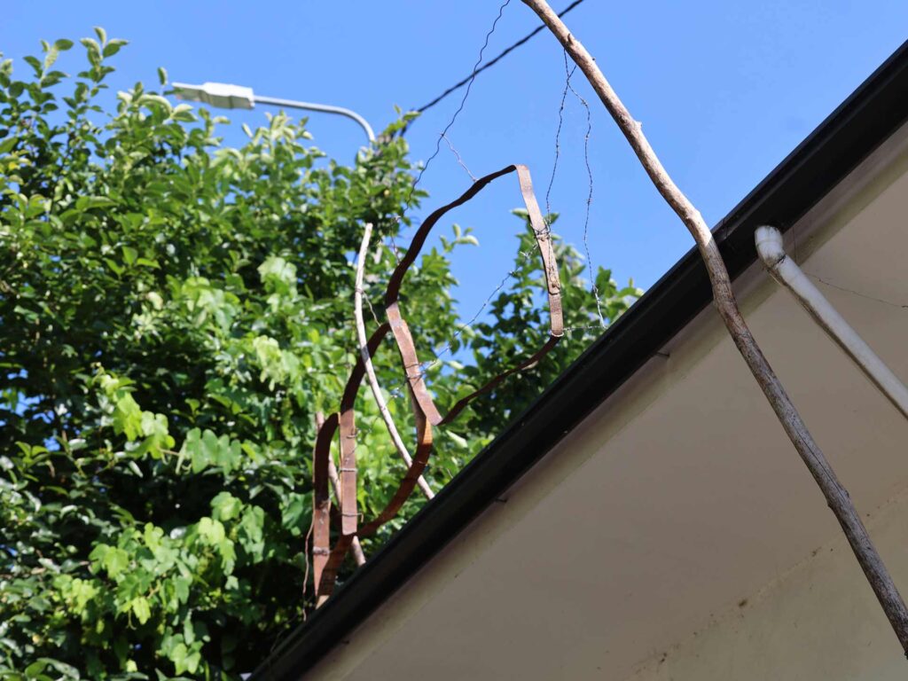 Arame farpado, ameaças e muitos explosivos. Aldeia de cabeceiras de basto em sobressalto 7 Arame farpado, ameaças e muitos explosivos. Aldeia de cabeceiras de basto em sobressalto