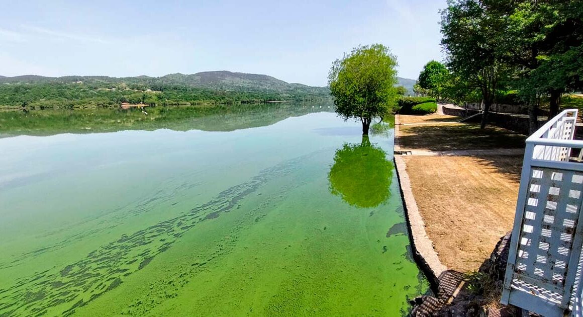 Autarca de ponte da barca preocupado com "grave" contaminação do rio lima na galiza