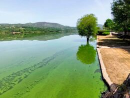 Autarca de ponte da barca preocupado com "grave" contaminação do rio lima na galiza