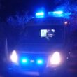 Dois mortos após despiste em caminha