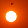 Está calor no minho mas o resto do país é um 'forno'. Aviso vermelho pode entrar em vigor