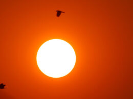 Está calor no minho mas o resto do país é um 'forno'. Aviso vermelho pode entrar em vigor