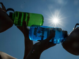 "beba água, mesmo sem sede. E evite bebidas alcoólicas". Dgs deixa alertas para o calor intenso