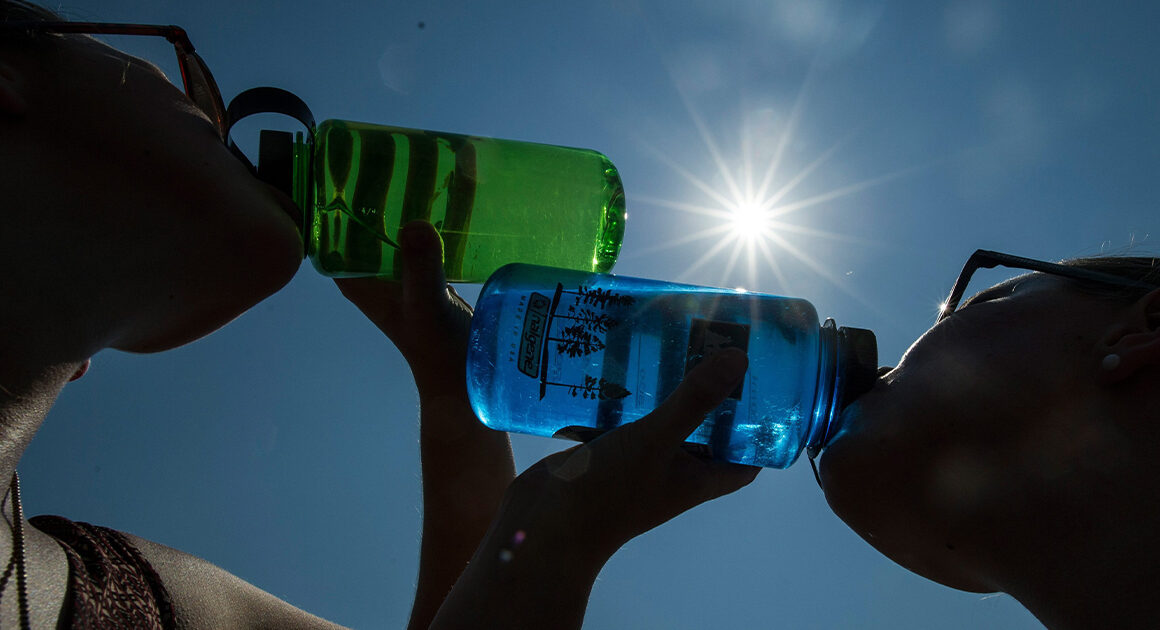 "beba água, mesmo sem sede. E evite bebidas alcoólicas". Dgs deixa alertas para o calor intenso