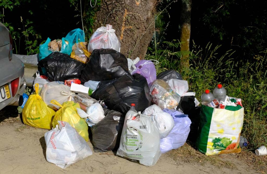 Voluntários limpam lixo em "paraíso secreto" que se tornou popular em viana do castelo 17 Voluntários limpam lixo em "paraíso secreto" que se tornou popular em viana do castelo