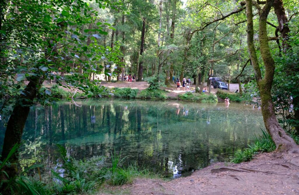 Voluntários limpam lixo em "paraíso secreto" que se tornou popular em viana do castelo 21 Voluntários limpam lixo em "paraíso secreto" que se tornou popular em viana do castelo