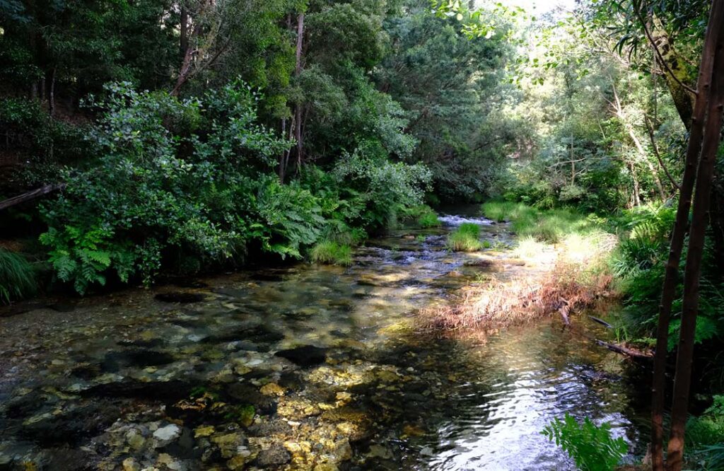 Voluntários limpam lixo em "paraíso secreto" que se tornou popular em viana do castelo 9 Voluntários limpam lixo em "paraíso secreto" que se tornou popular em viana do castelo