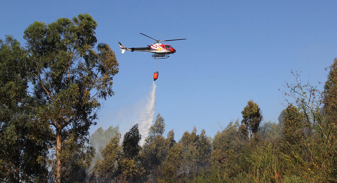 Ponte da barca diz que helicóptero é "fundamental" para proteger população e "imenso património natural"