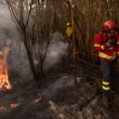 Treze concelhos de cinco distritos em perigo máximo de incêndio