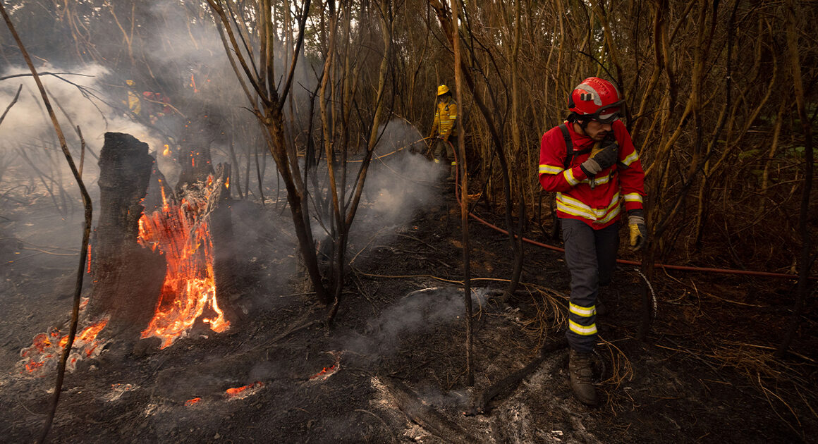 Treze concelhos de cinco distritos em perigo máximo de incêndio