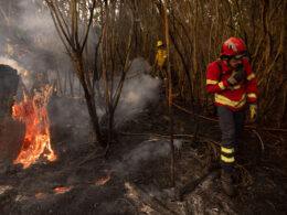Treze concelhos de cinco distritos em perigo máximo de incêndio