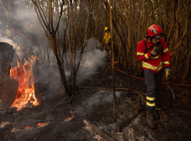 Treze concelhos de cinco distritos em perigo máximo de incêndio