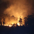 Mais de 30 concelhos de nove distritos em perigo máximo de incêndio