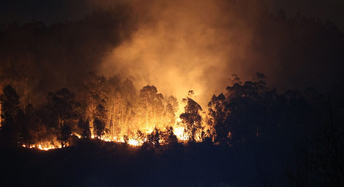 Mais de 30 concelhos de nove distritos em perigo máximo de incêndio