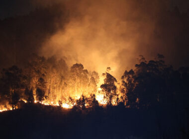 Mais de 30 concelhos de nove distritos em perigo máximo de incêndio